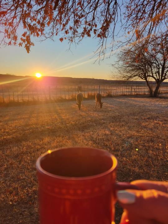 When hunger removes fear, and trust is established 