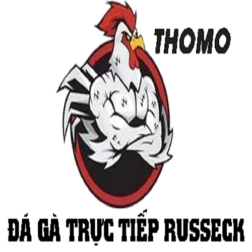 Đá gà Trực tiếp