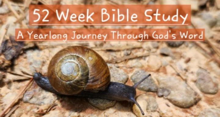 52 Week Bible Study
