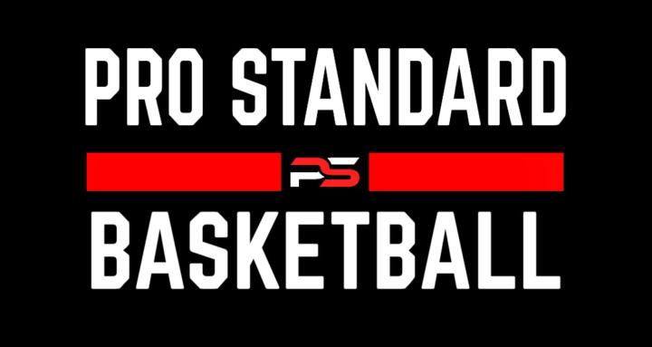 Pro Standard Basketball