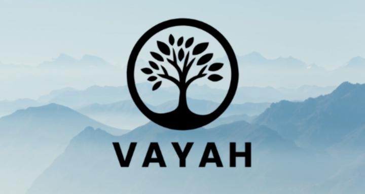 Vayah - No Dogma, Just Depth