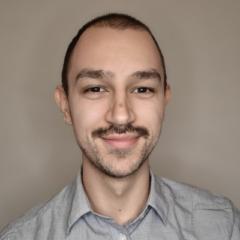 Dragan Grgić