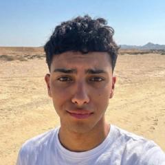 Ali T