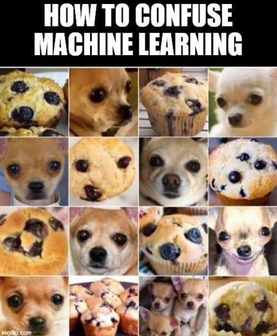 How to confuse machine learning 🤣