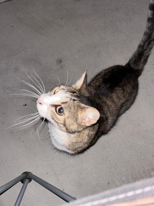 Christopher Escudero