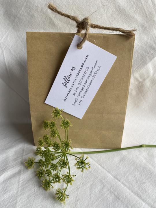 What have you been creating lately?