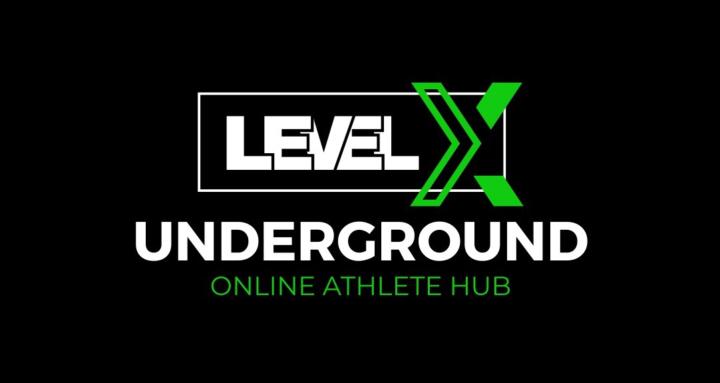 LevelX Underground Baseball