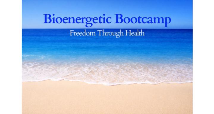 Bioenergetic Bootcamp