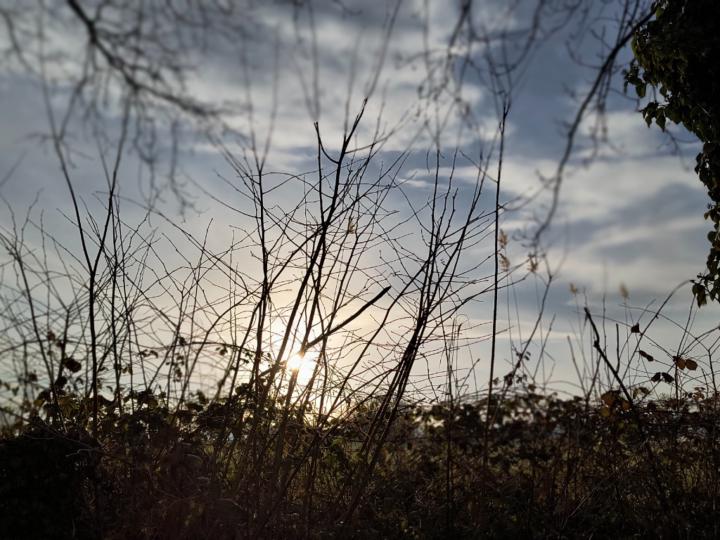 Mag Lune
