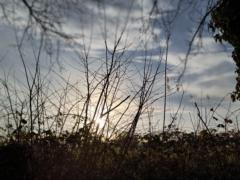 Mag Lune