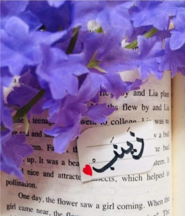 زينب حنون حسون