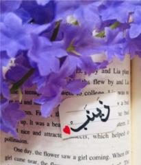 زينب حنون حسون