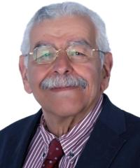 Hadi Eltonsi