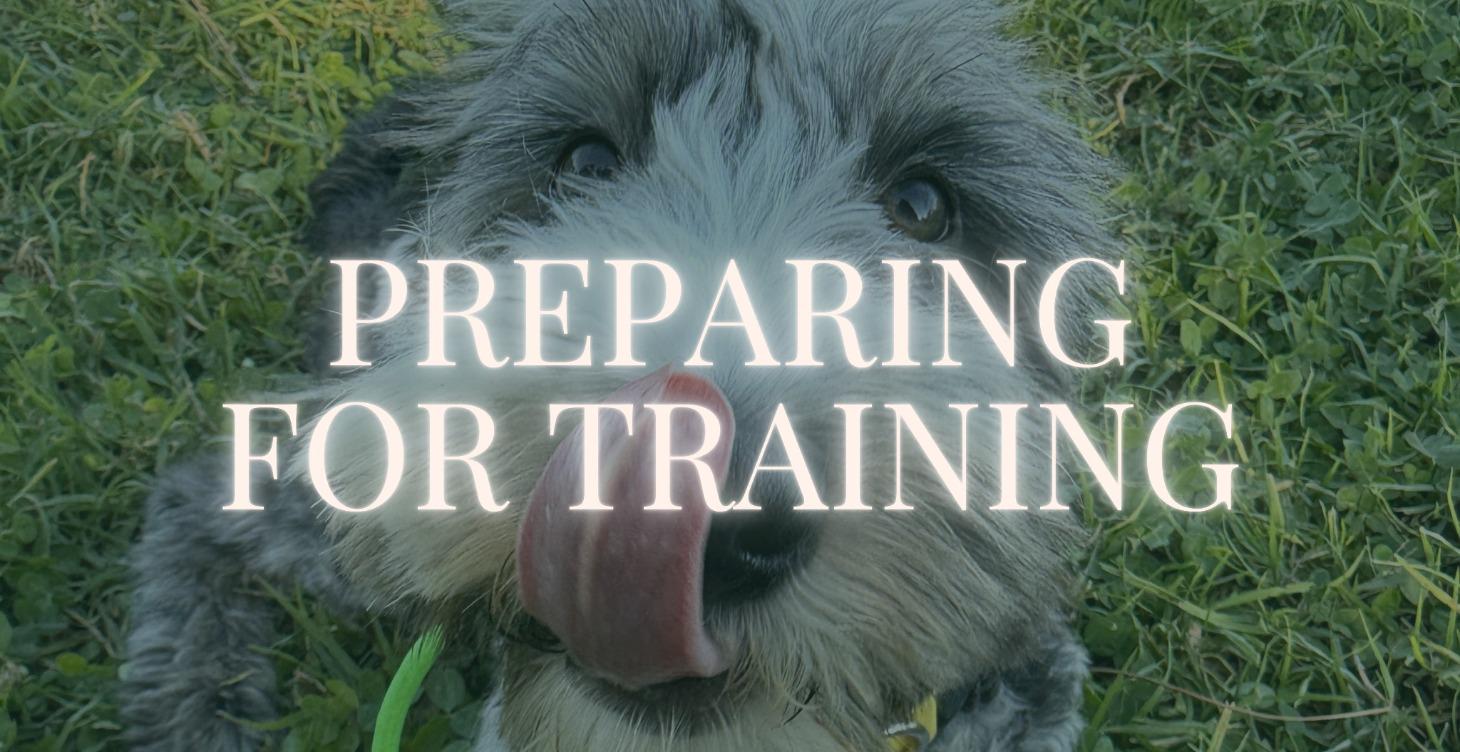 Phase 0: Preparing for Training