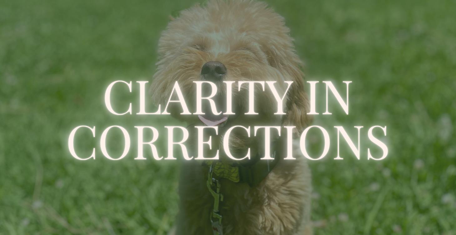 Phase 4: Clarity in Corrections