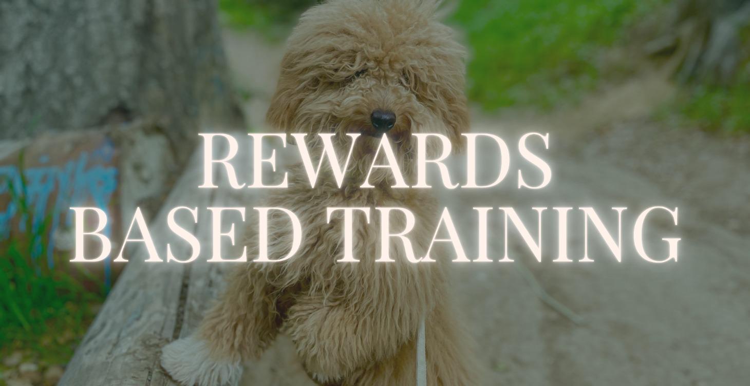 Phase 1: Rewards Based Training