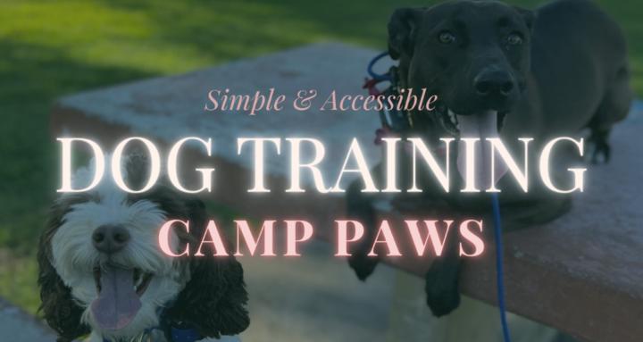 Camp Paws Dog Training