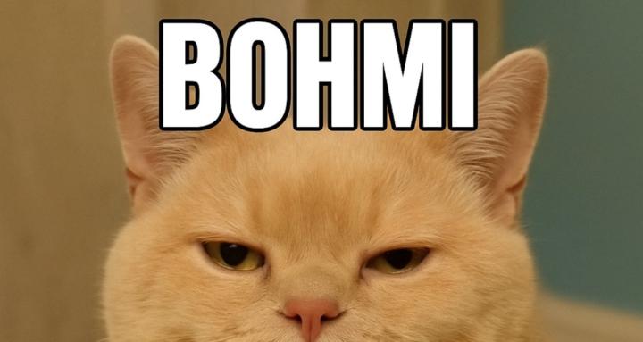 Are you Kitty me?