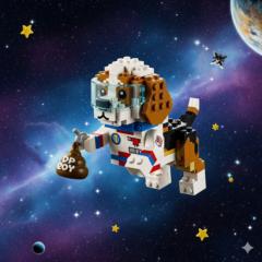 Maria Fernanda Sandoval Cristancho