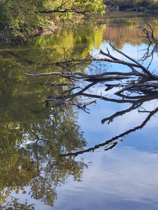 Wisdom Wednesdays Office Hours