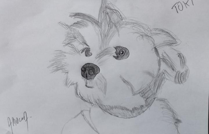 Alfredo Rocha sanchez