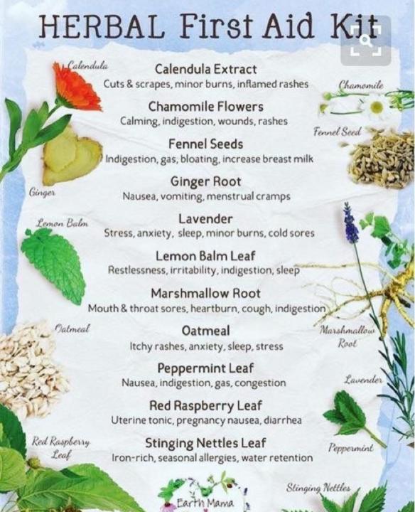 Herbs 🌿  which herb is your favorite and why?