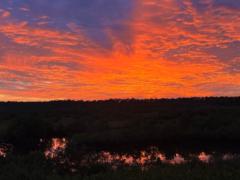 Abigeil Hall-Gutierrez