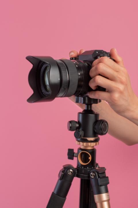 Dianelli Nicolle Cruz Salinas