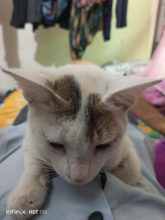 Md hafiz uddin Sohel