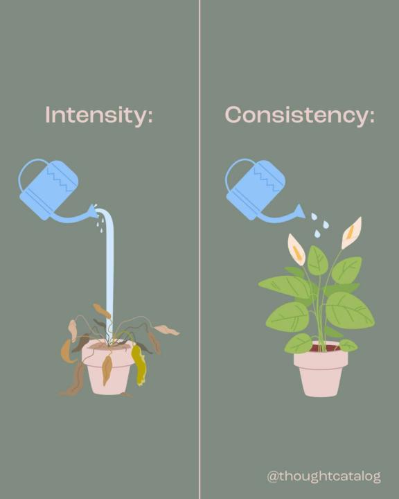 Intensity⚡Vs consistency ⚙️