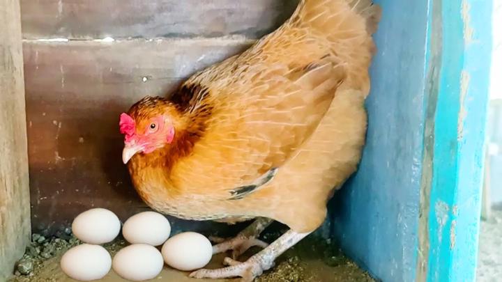 How to Remember anything Easily 🧠