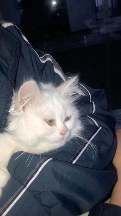 Daily Journal | Day 59 | Thr,Jan 2026 