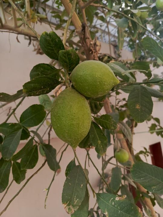 Day 5 of my 100 days challenge to change 