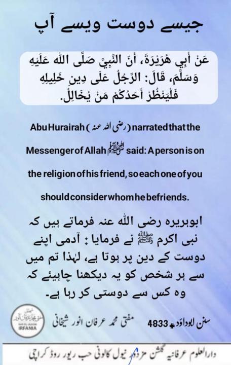 Friendship 