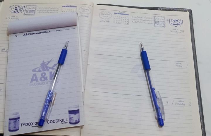 Realization from 7 days of Continues Journeling 