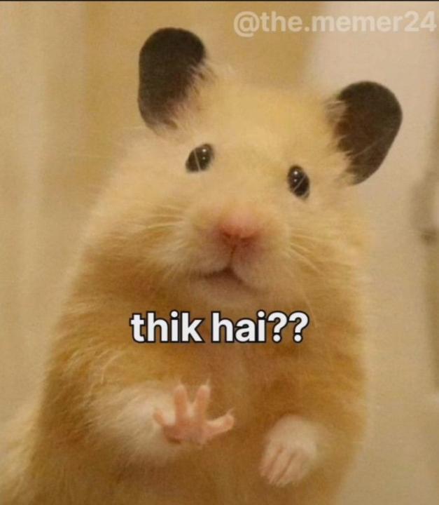 Cold email marketing 