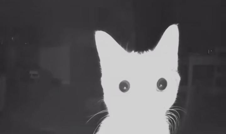 Journal Day 11 | Wednesday | 20\1\2026