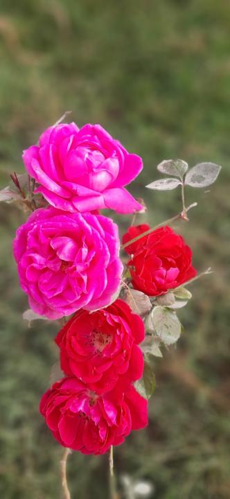  Daily Journel wed 18 Dec 2025