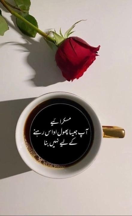 🌸 خوش رہنے کے تین سنہری اصول 🌸