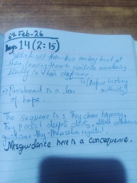 Day 14      6th Feb 26