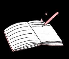 JOURNAL 013 ( 28/12/2025 )