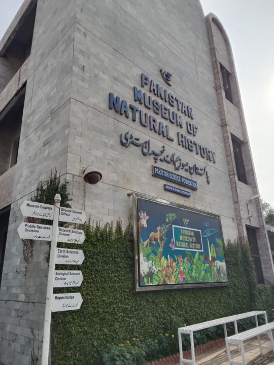 Day-32 | 9/12/25 | Goal: $1k in 30 days