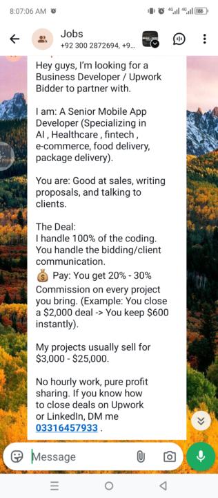 Upwork/bidder needed 