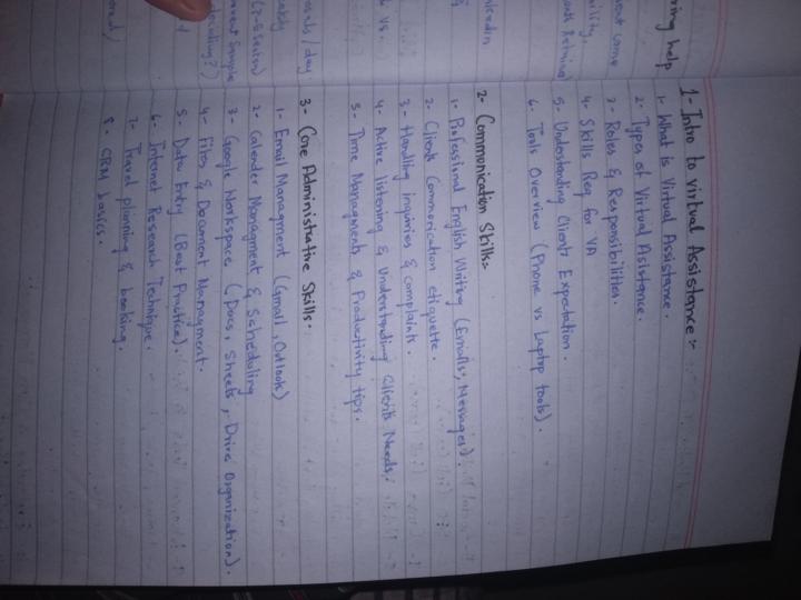 Advice Needed on Virtual Assistant Niche