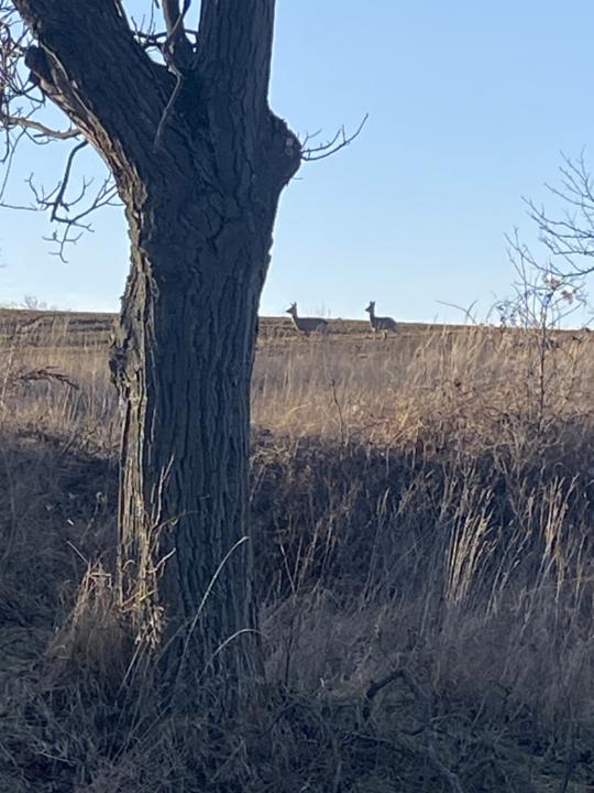 Není pochyb, že duši léčí pohyb 🤗