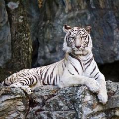 Juan Pablo Ramírez Cruz