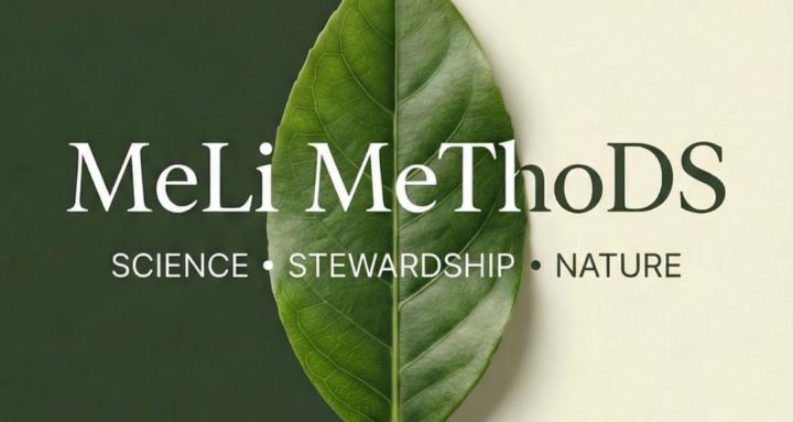 MeLi MeThoDS