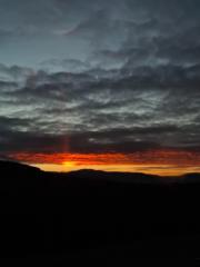 Симона Цветанова