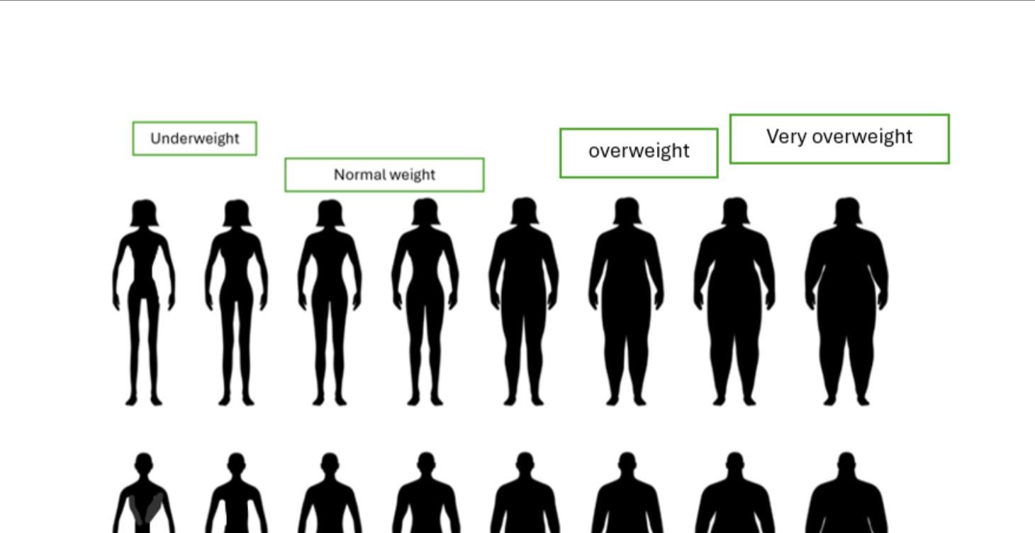 WEIGHT GRAPHS AND USEFUL TOOLS