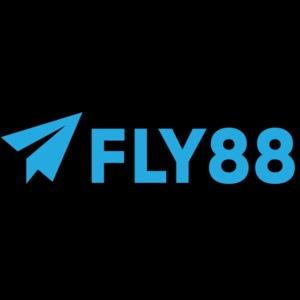 Fly Snet